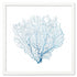 blue sea fan wall art